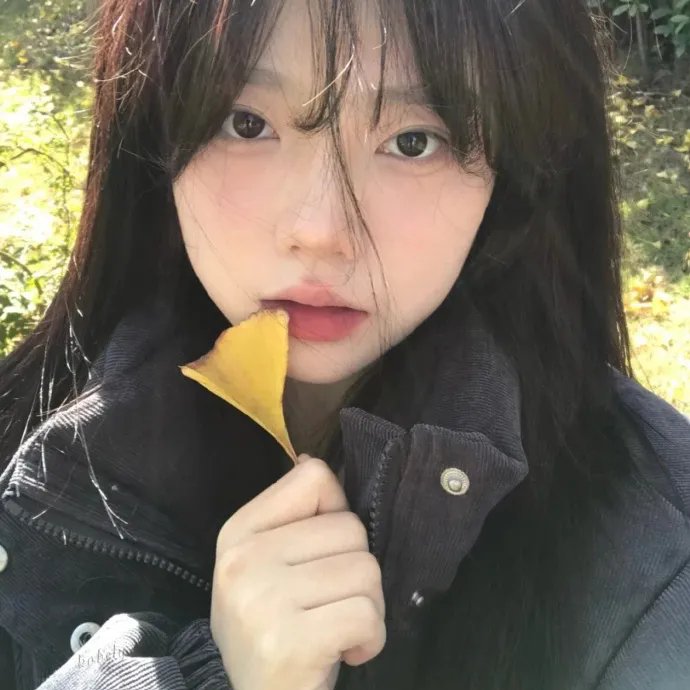 亲爱的大笨象