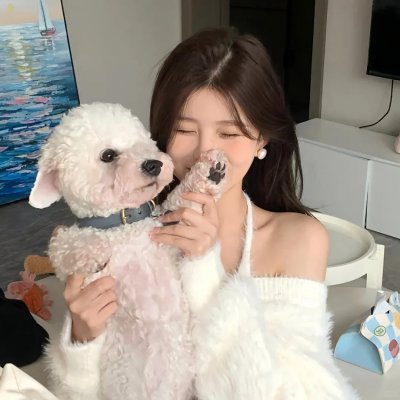 海边的朝日与骗子们